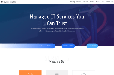 IT-Services-Landing-Elegant-Themes