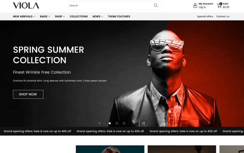 Preview-Default-Theme-Viola-Ecommerce-Website-Template