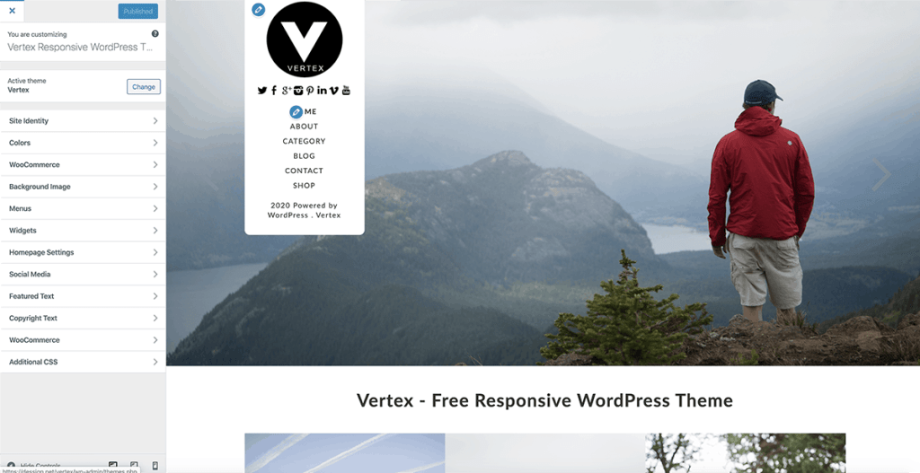 WordPress Customize Website Theme